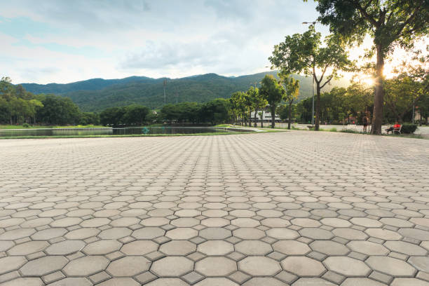 Best Custom Driveway Pavers  in Ranson, WV